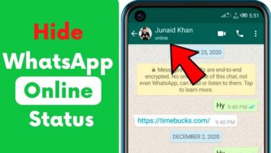 Hide WhatsApp Online Status